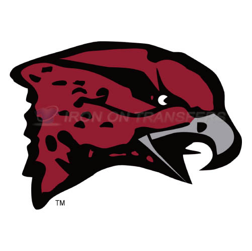 Maryland Eastern Shore Hawks Logo T-shirts Iron On Transfers N49